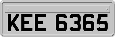 KEE6365