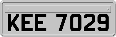 KEE7029