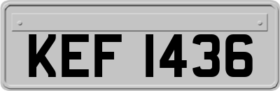 KEF1436