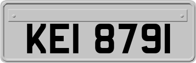 KEI8791