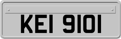KEI9101