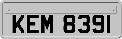 KEM8391