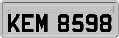 KEM8598
