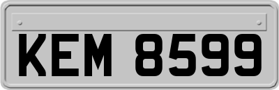 KEM8599