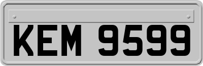 KEM9599