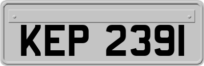 KEP2391