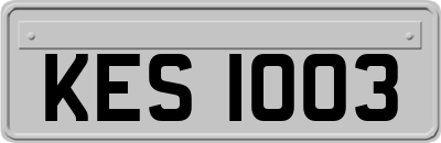 KES1003