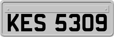 KES5309