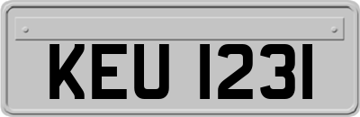 KEU1231