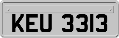 KEU3313