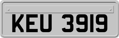 KEU3919