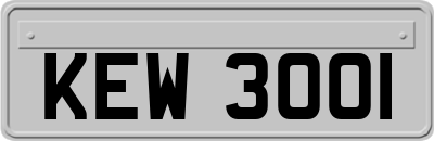 KEW3001