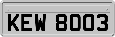 KEW8003