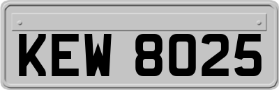 KEW8025