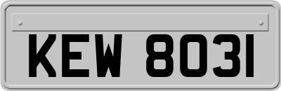 KEW8031
