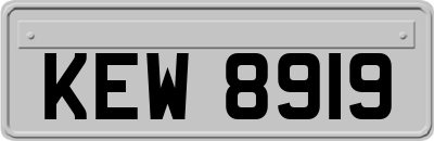 KEW8919