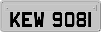 KEW9081