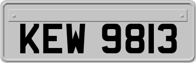 KEW9813
