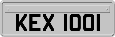 KEX1001