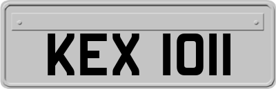 KEX1011