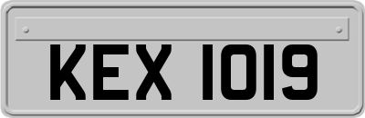KEX1019