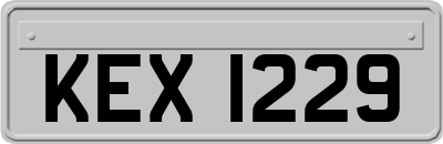 KEX1229