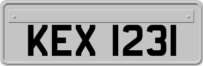 KEX1231