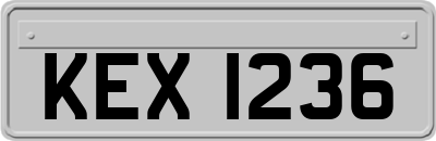 KEX1236