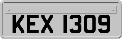 KEX1309