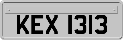 KEX1313