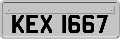 KEX1667
