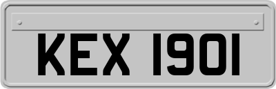 KEX1901