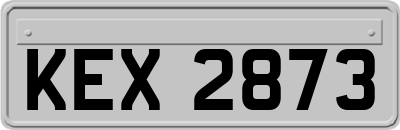 KEX2873