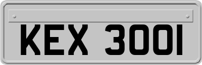KEX3001