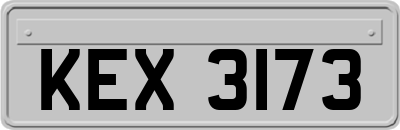 KEX3173