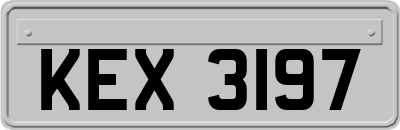 KEX3197