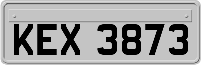 KEX3873