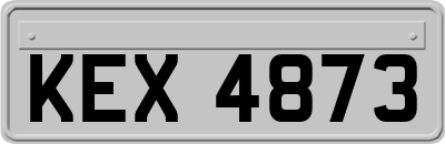 KEX4873
