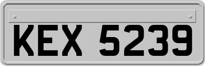 KEX5239
