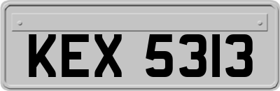 KEX5313