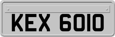 KEX6010