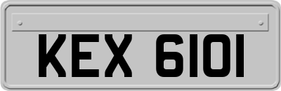 KEX6101
