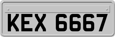 KEX6667