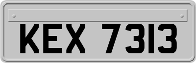 KEX7313