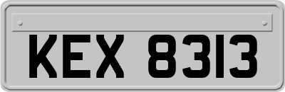 KEX8313