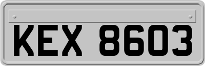 KEX8603