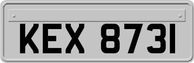KEX8731