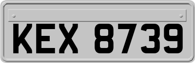 KEX8739
