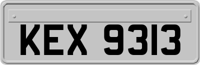 KEX9313