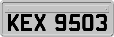 KEX9503